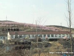 山林水库种植整体承包