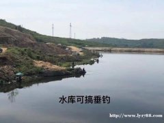 山林水库种植整体承包